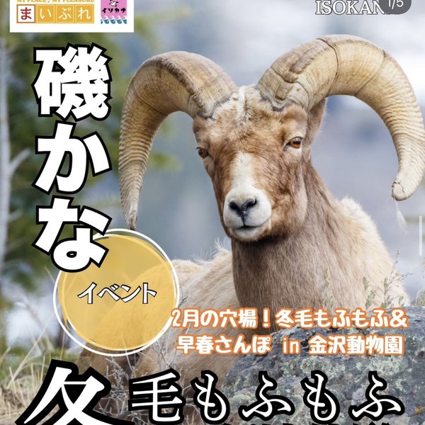 まいぷれインスタ投稿